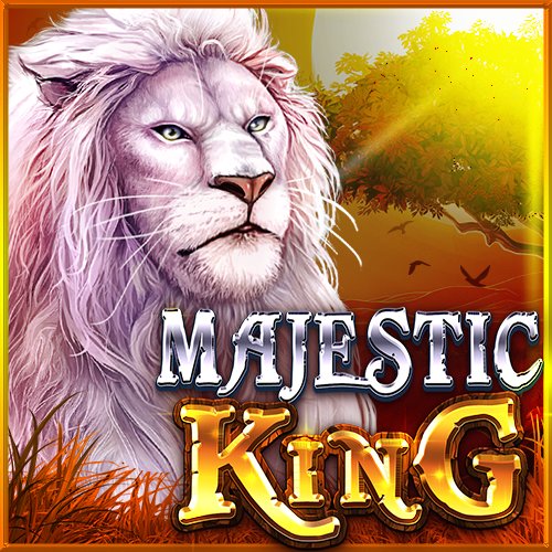 Bets login