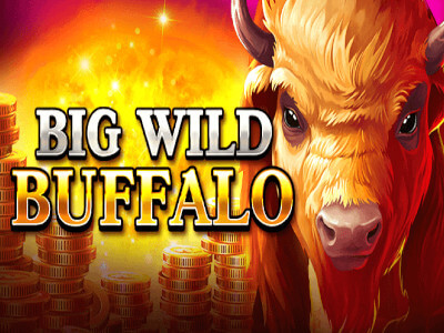 IWild Casino